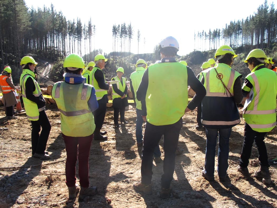 The National Environmental Standard for Plantation Forestry is launched