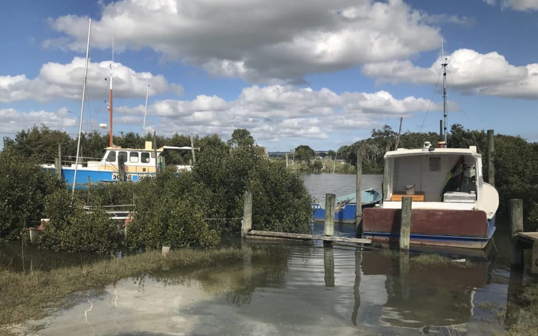 The 1000 square kilometre Kaipara Harbour is an essential ongoing feature of Ruawai life with the impacts of various sea level increases mapped by Northland's regional council