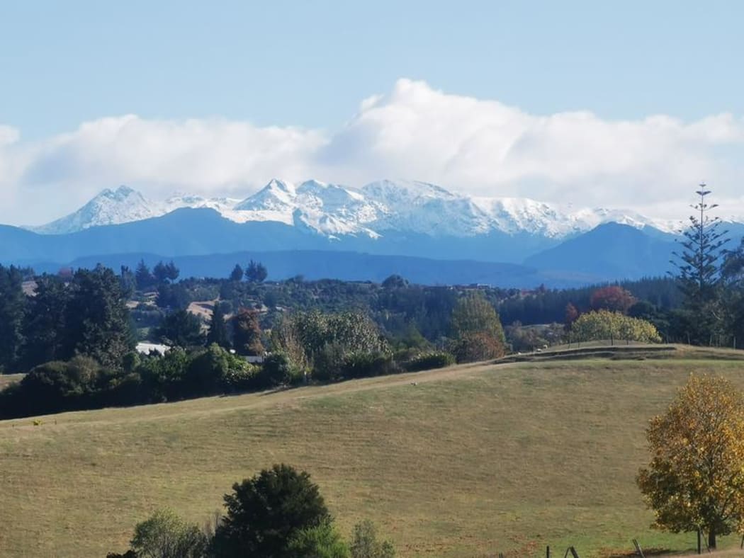 Tuao Wharepapa (Mt. Arthur)
