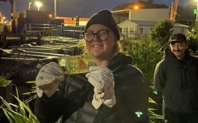 Sustainable Coastlines international volunteer Sarah helped to retrieve the note from the nest box.