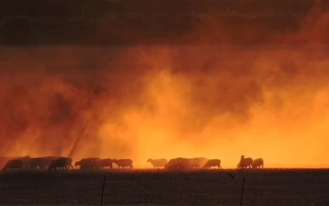 Australia recorded its hottest spring on record and third hottest December on record. (Supplied: Christine Chandler /ABC)