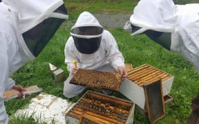 Beekeeping