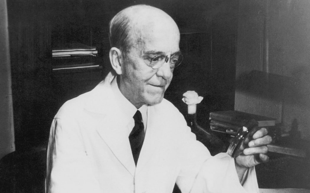 Oswald Theodore Avery (1877-1955) Canadian-born American bacteriologist and molecular biologist at work in laboratory examining a petrie dish of culture. A founder of immuno-chemistry. Credit: Ann Ronan/Rockefeller University Archives