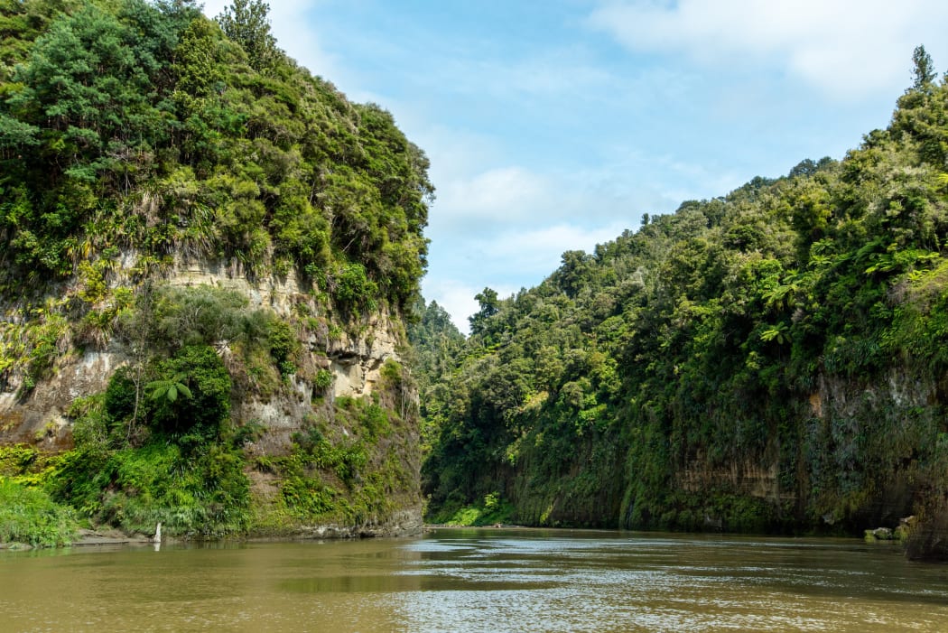 The Whanganui River winds through isolated native bush in Whanganui National Park.