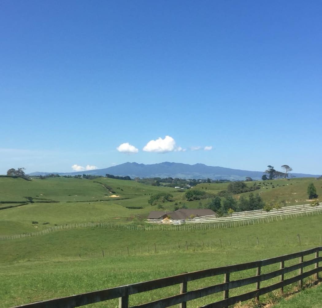 A view of the Pirongia Hills in the distance above rolling hills.