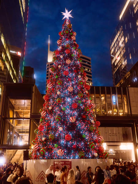Standing 18.4 metres tall, with a 15-metre steel frame, 2-metre base and 1.4-metre star topper, Te Manaaki Christmas tree is light up outside Britomart and Commercial Bay.