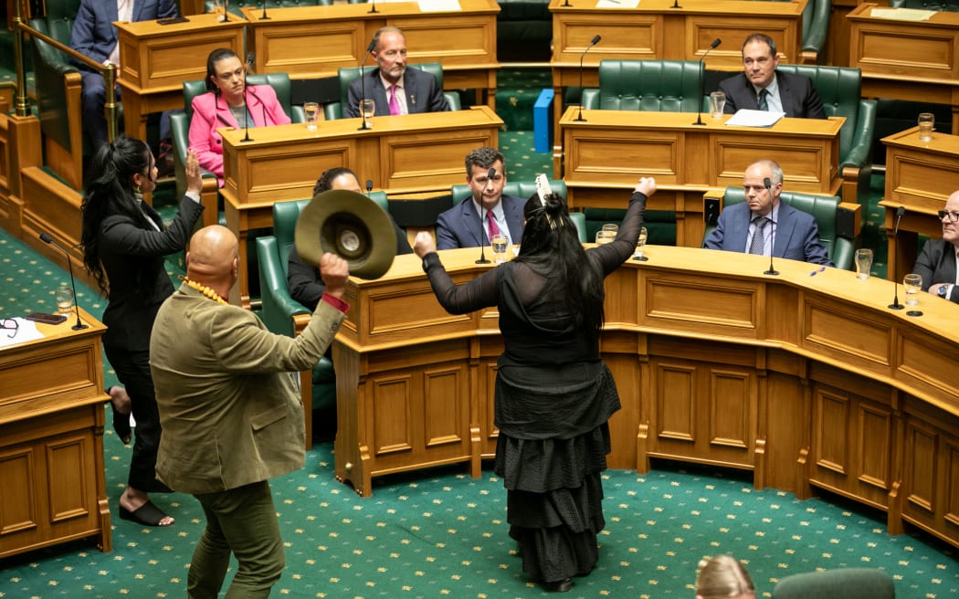 Members of Te Pati Maori do a haka in front of Act Party members in Parliament during the first reading of the Treaty Principles Bill on 14 November.