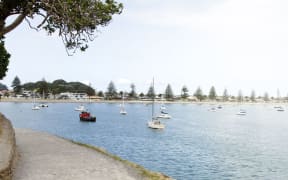 Boats moored at the bay in Tauranga.