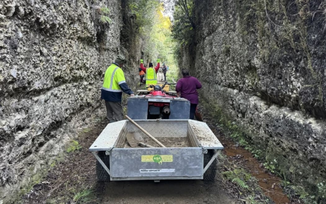Trail builders on the Timber Trail