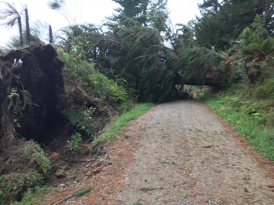 Destruction from storm Fehi on the West Coast.