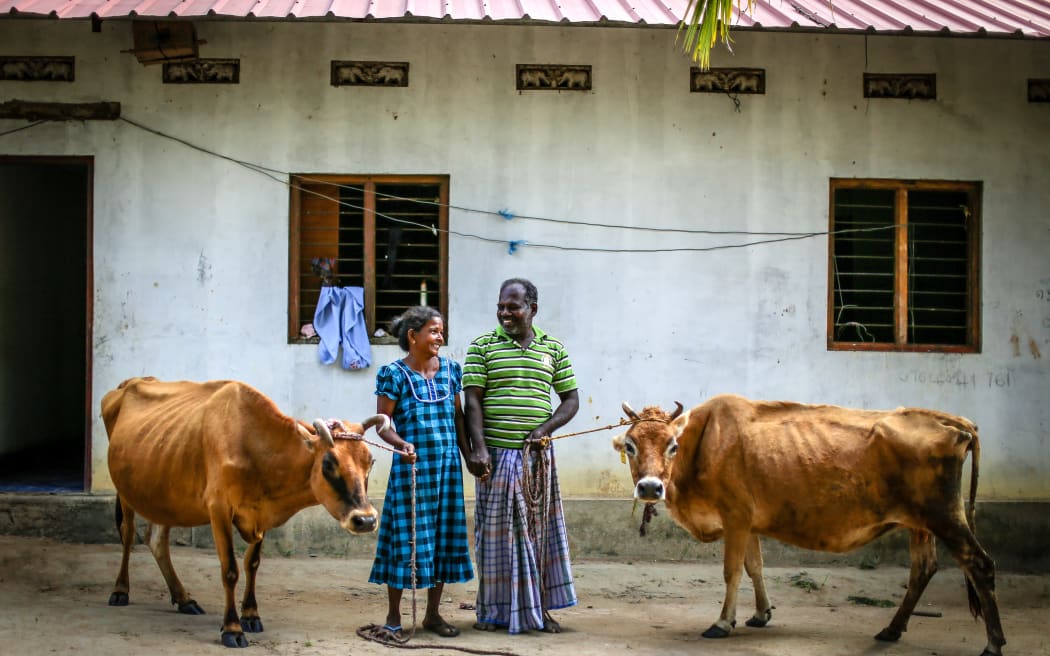Smallholder farmers with their cows