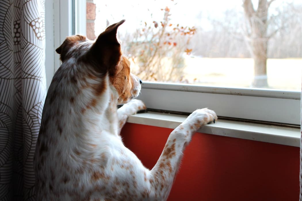 Waiting