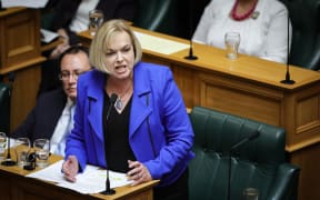 National Leader Judith Collins speaks in an urgent debate on the travel bubble