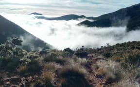 A view from high above the clouds on the Richmond Range.