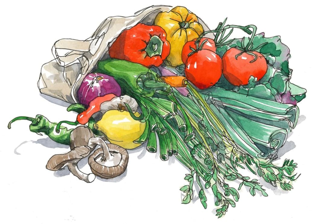 Illustration from Salt, Fat, Acid, Heat
