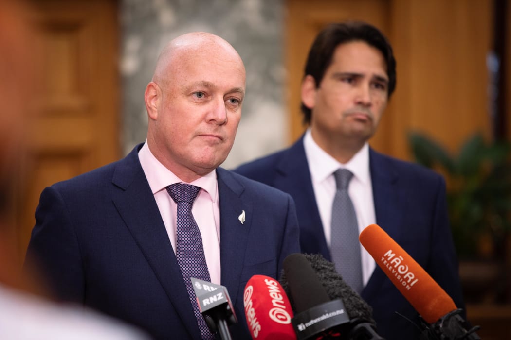 Christopher Luxon and Simon Bridges