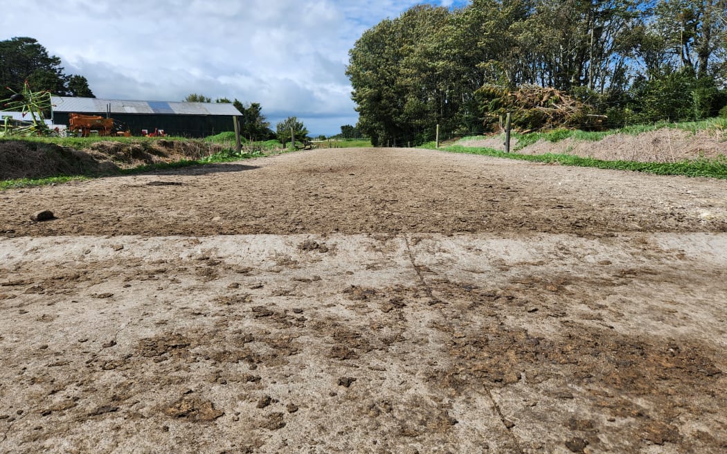 The condition of the track to the dairy shed is a factor in cow lameness