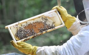 Beekeeper