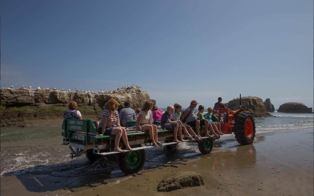 Gannet Beach Adventures