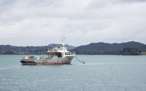 A fishing boat sits in the Hokianga Harbour