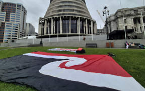 The tino rangatiratanga haki (flag) outside parliament on the day of the Treaty Principles Bill introduction