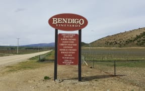 The lower slopes of Bendigo Station have been transformed into a new wine producing area.