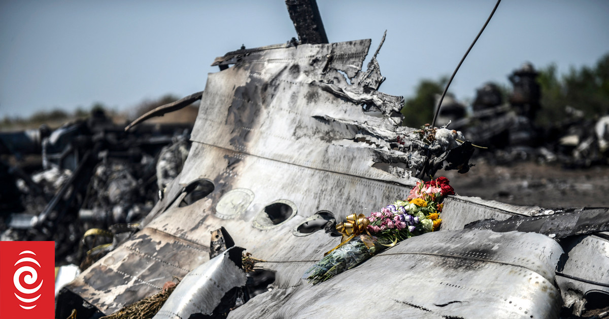2014 年，MH17 航班被击落。马来西亚航空客机发生了什么