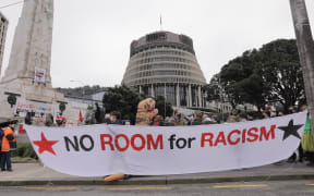 Counter-protest group outside Parliament in Wellington on 23 August 2022.