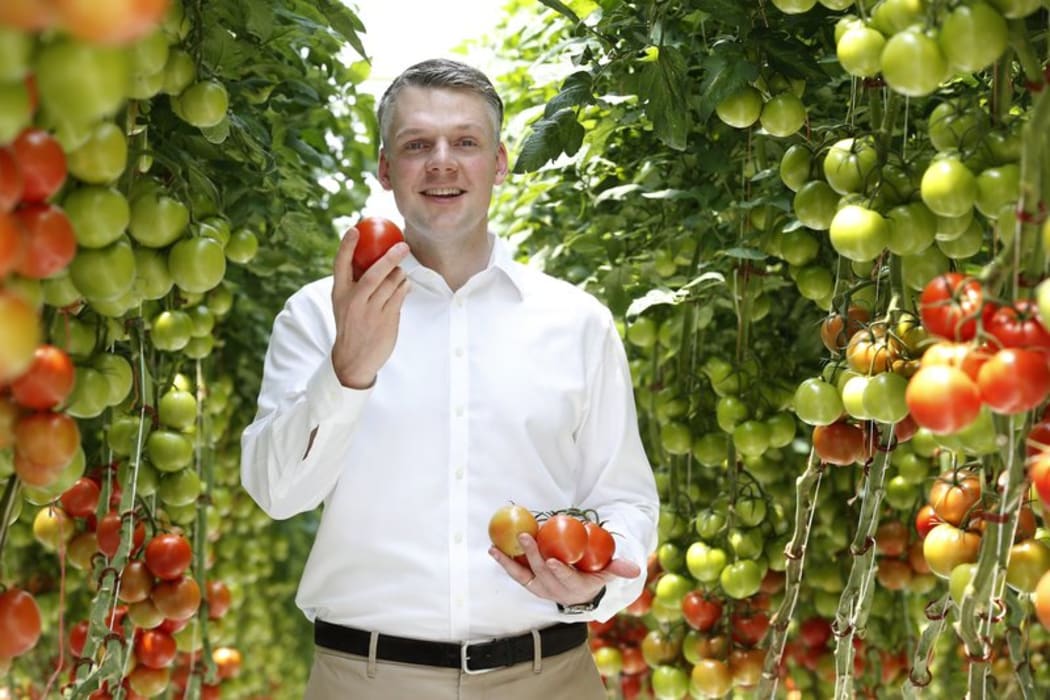 Sundrop Farms managing director for Australia, Steve Marafiote