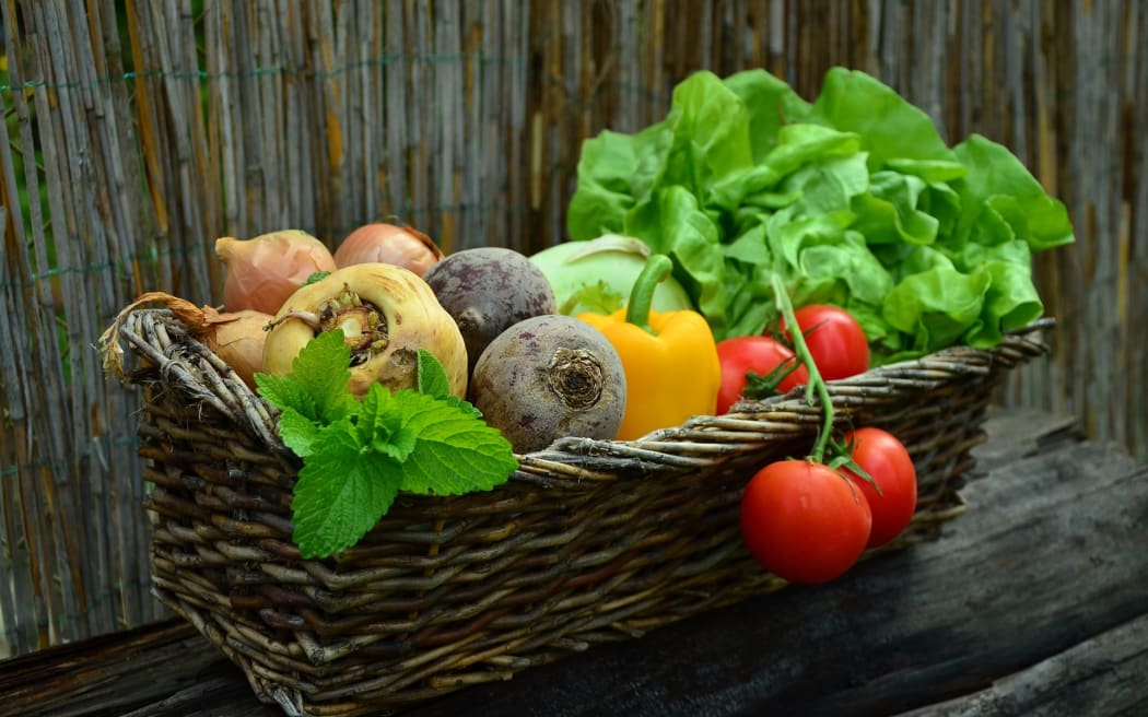 A basket of vegetables from the garden