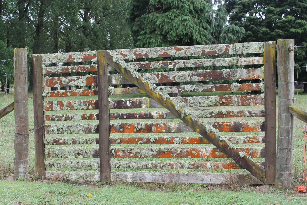 Fence