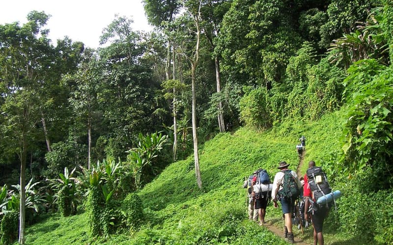 Papua New Guinea's Kokoda Track reopens today | RNZ