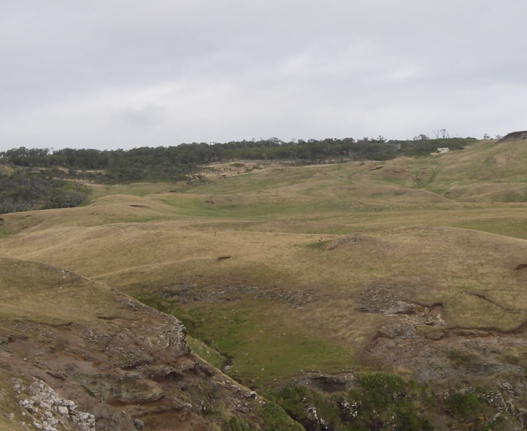 View across rough farmland to a small bush remnant