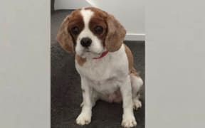 Ruby was attacked this morning in Okitu.