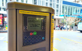 An error means Wellington's pay and display machines are wrongly telling motorists it's a public holiday and parking is free.