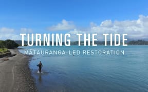 Coastline scene with a person in the shallows holding up an impressive fish.  Text reads "Turning The Tide: Mātauranga-led restoration"