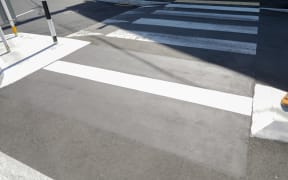Wellington's transgender flag painted over