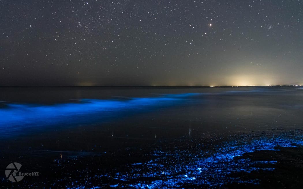Bioluminescence light show on  Paraparaumu beach