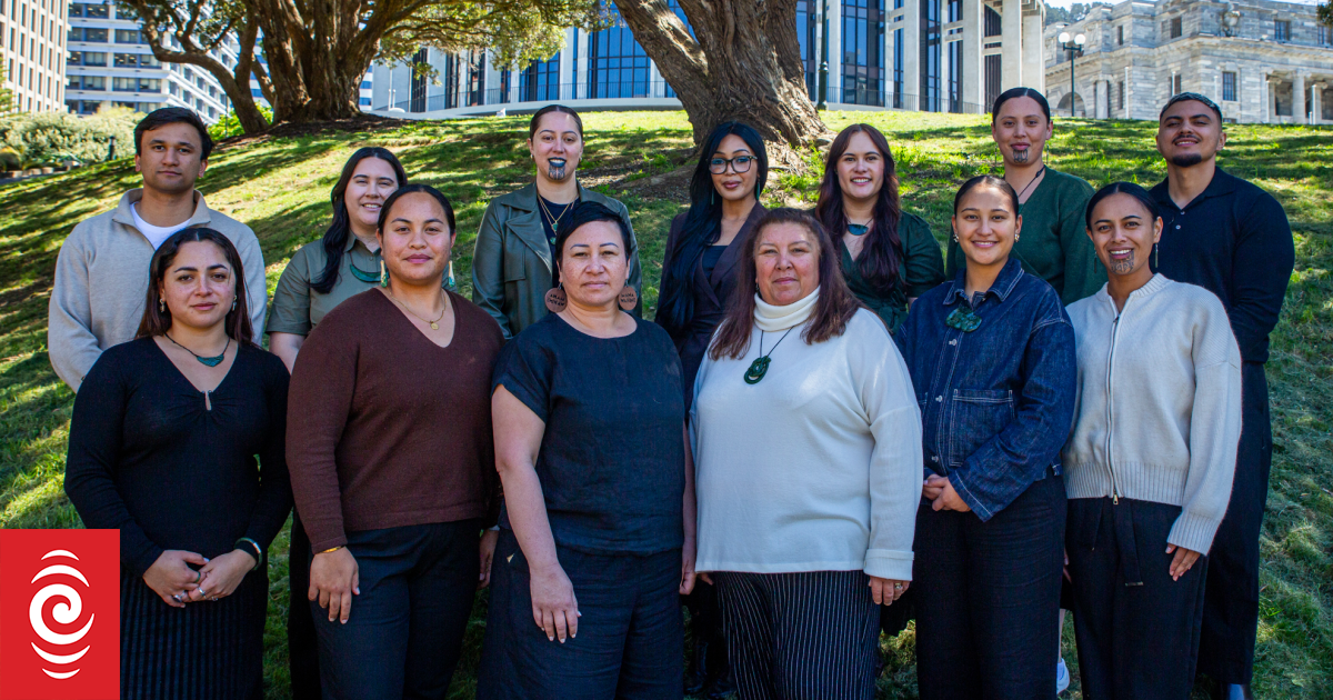 Nine rangatahi Māori depart for the Brazillian Amazon for COP30