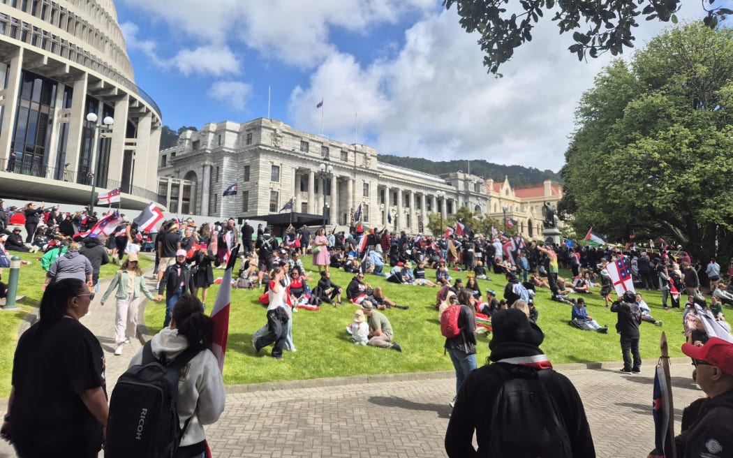 Hikoi at parliament