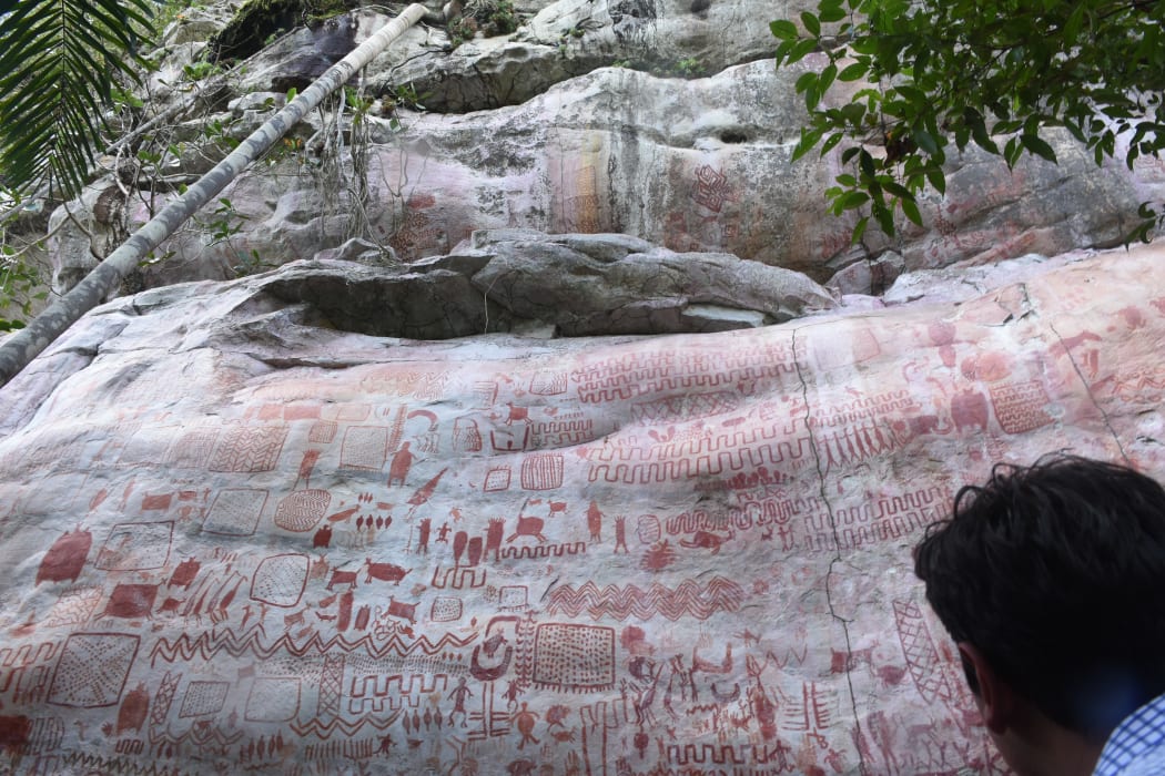 Ancient rock art, depicting animals and humans, is seen at the Chiribiquete National Park in Colombia on 2 July, 2018.