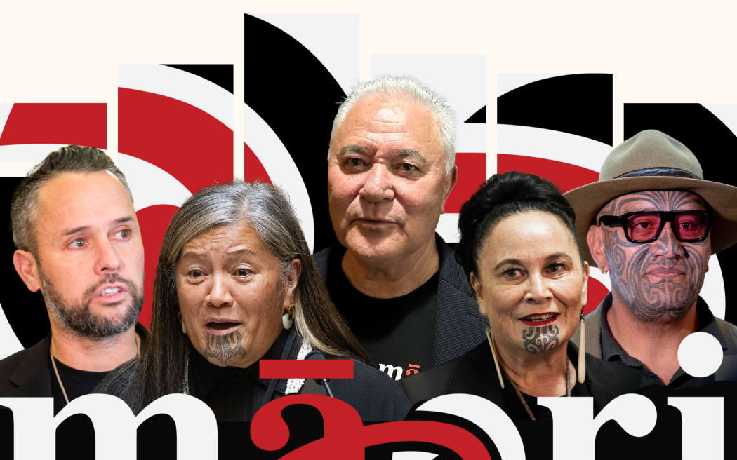 Composite of John Tamihere, Debbie Ngarewa-Packer, Rawiri Waititi and Tākuta Ferris and Te Pāti Māori logo and icon.