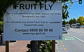 Ministry for Primary Industries sign warning of biosecurity area in Grey Lynn, Auckland.