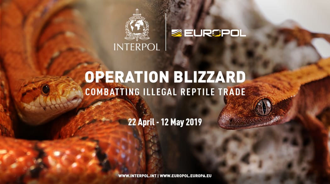 The official Operation Blizzard poster,
