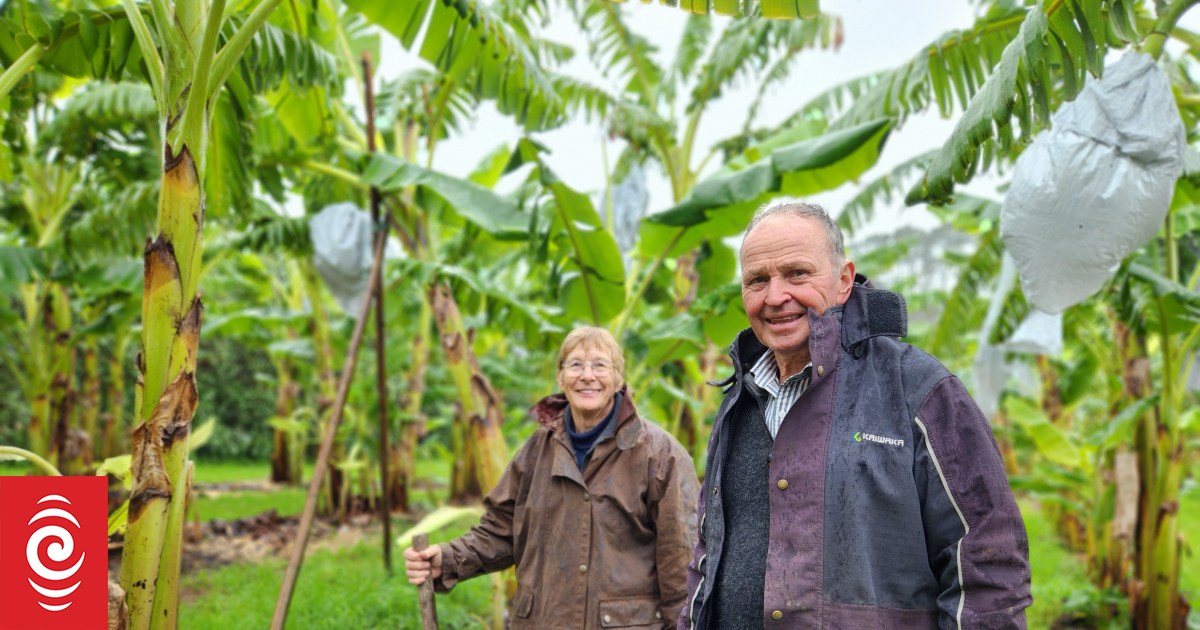 Country Life: How leftovers are giving back to the land
