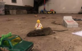 The original image posted by Sam Brooker for the Great NZ lockup mouse hunt competition page.