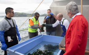 Agriculture minister Damien O'Connor (in red) speaks to Wakame Fresh employees.