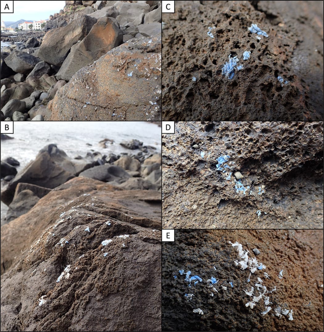 'Plasticrust' found on rocks in Madiera