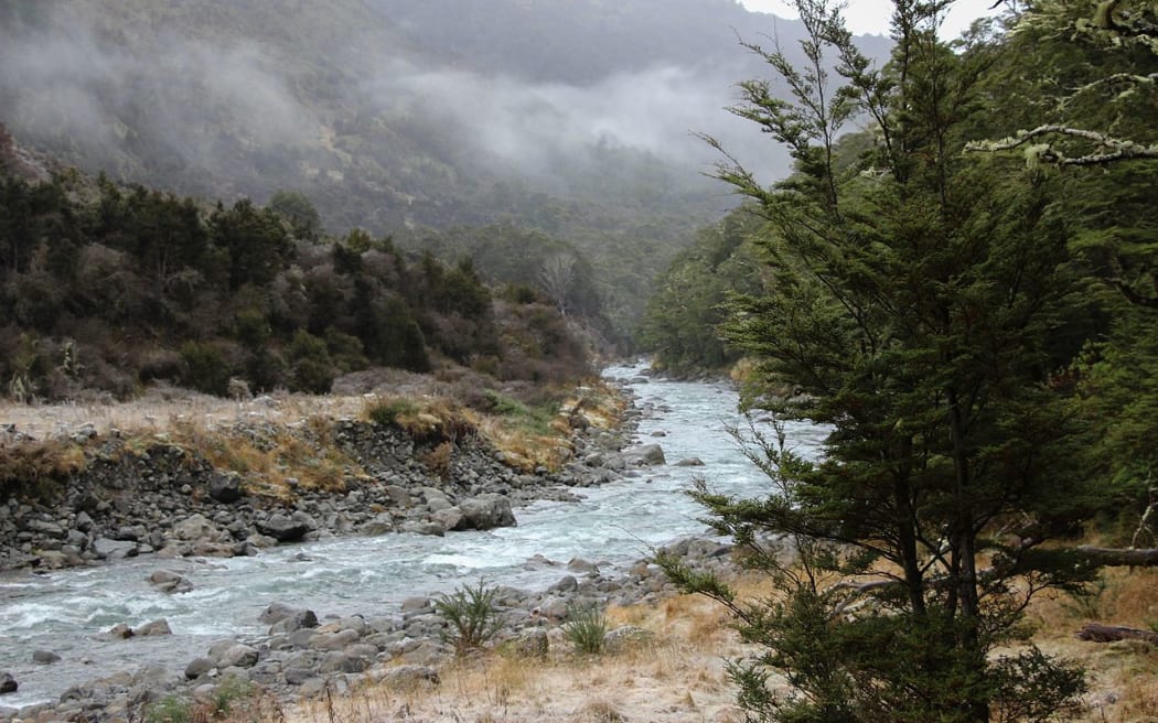 Boyle River between Boyle Flat Hut and Boyle Village. St James Walkway, New Zealand