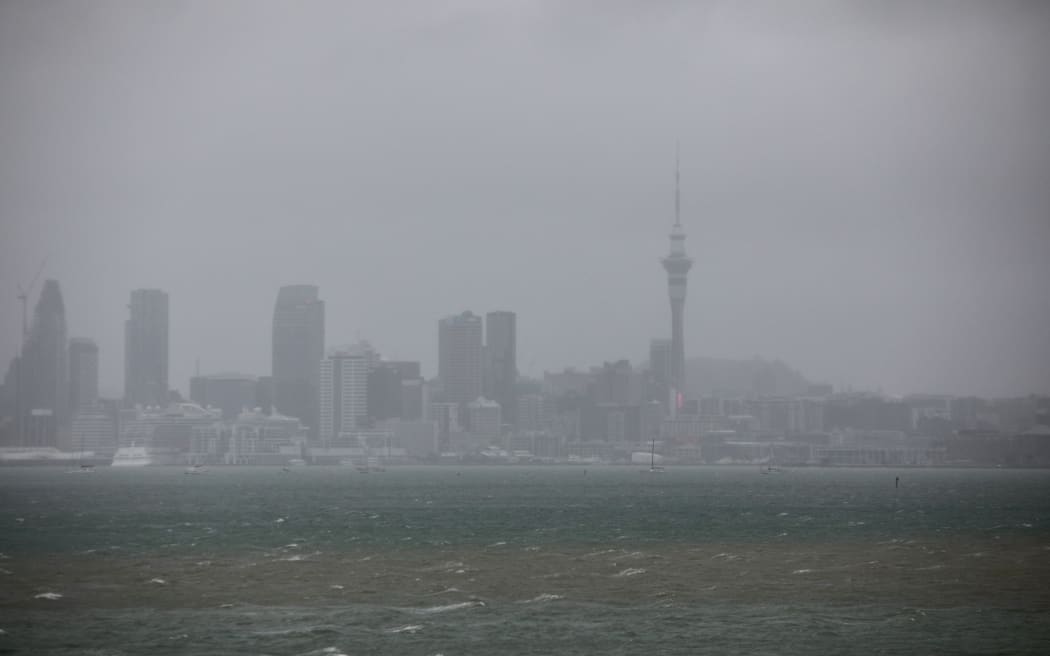 Trees down in Auckland as storm hits